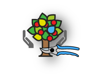 Obstbaumschnitt